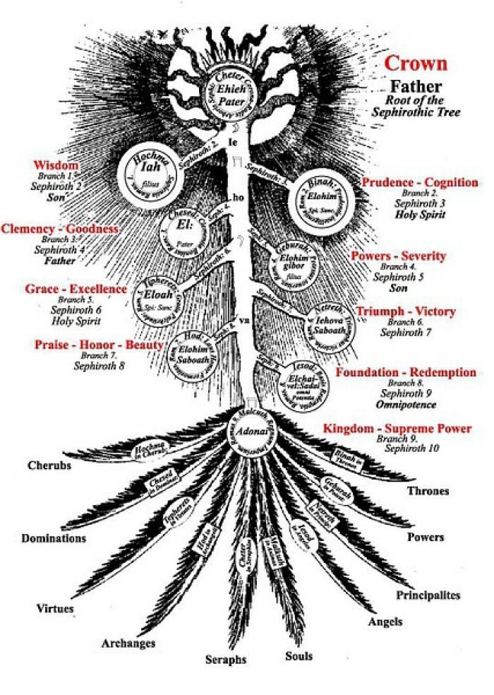 What is the Tree of Life?