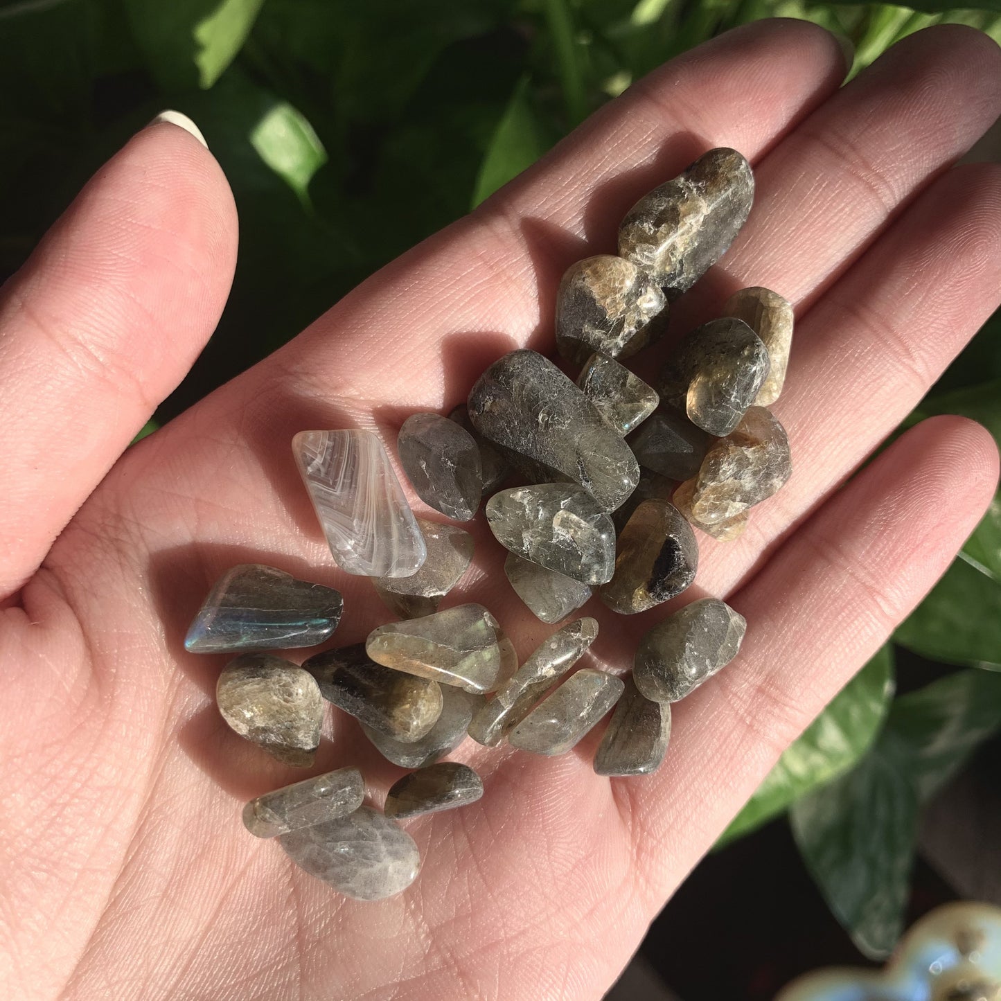 Natural LABRADORITE Chips