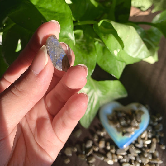 Natural LABRADORITE Chips