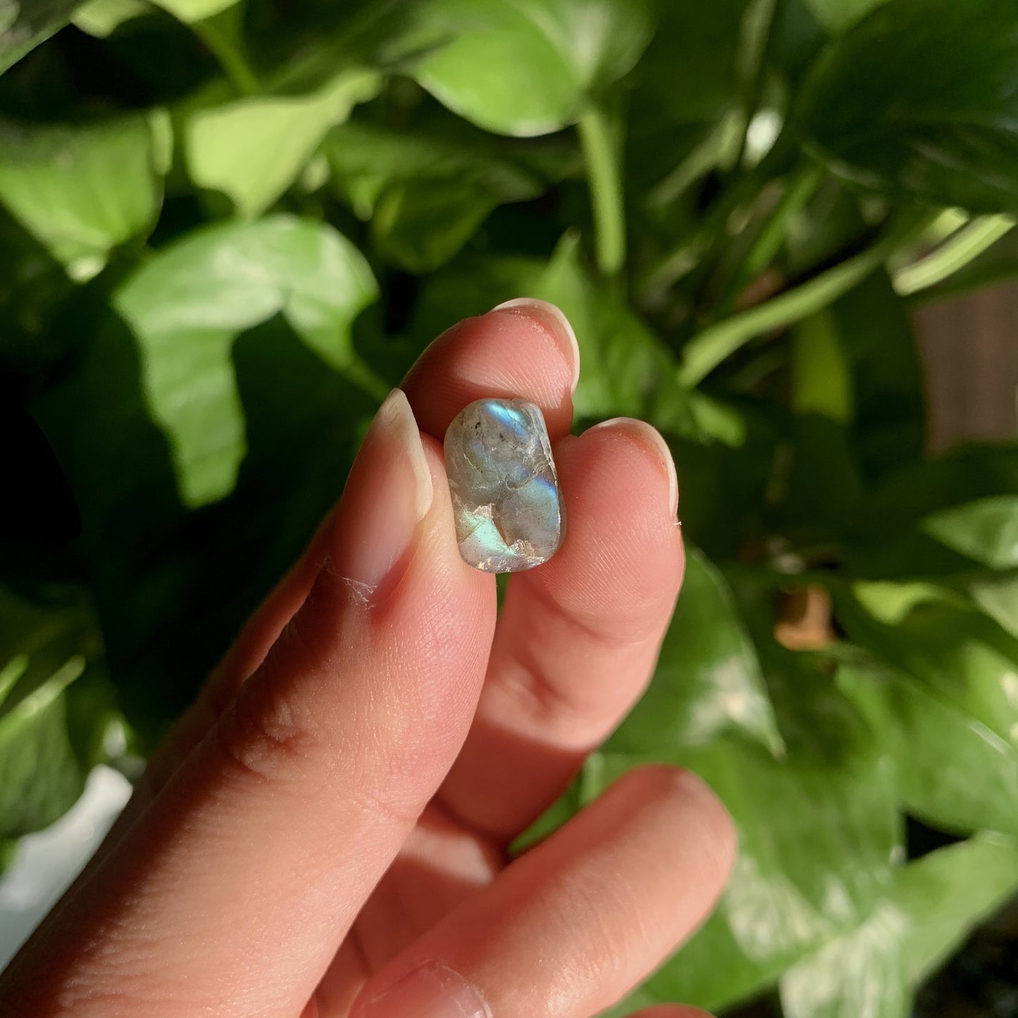 Natural LABRADORITE Chips