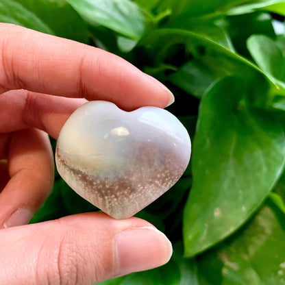 Natural Sun Shell Crystal Heart Shape