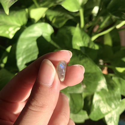 Natural LABRADORITE Chips