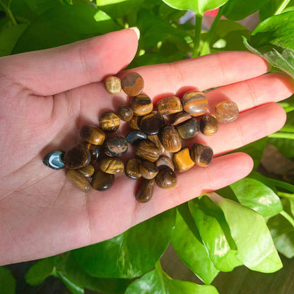 Natural Tiger's Eye Chips