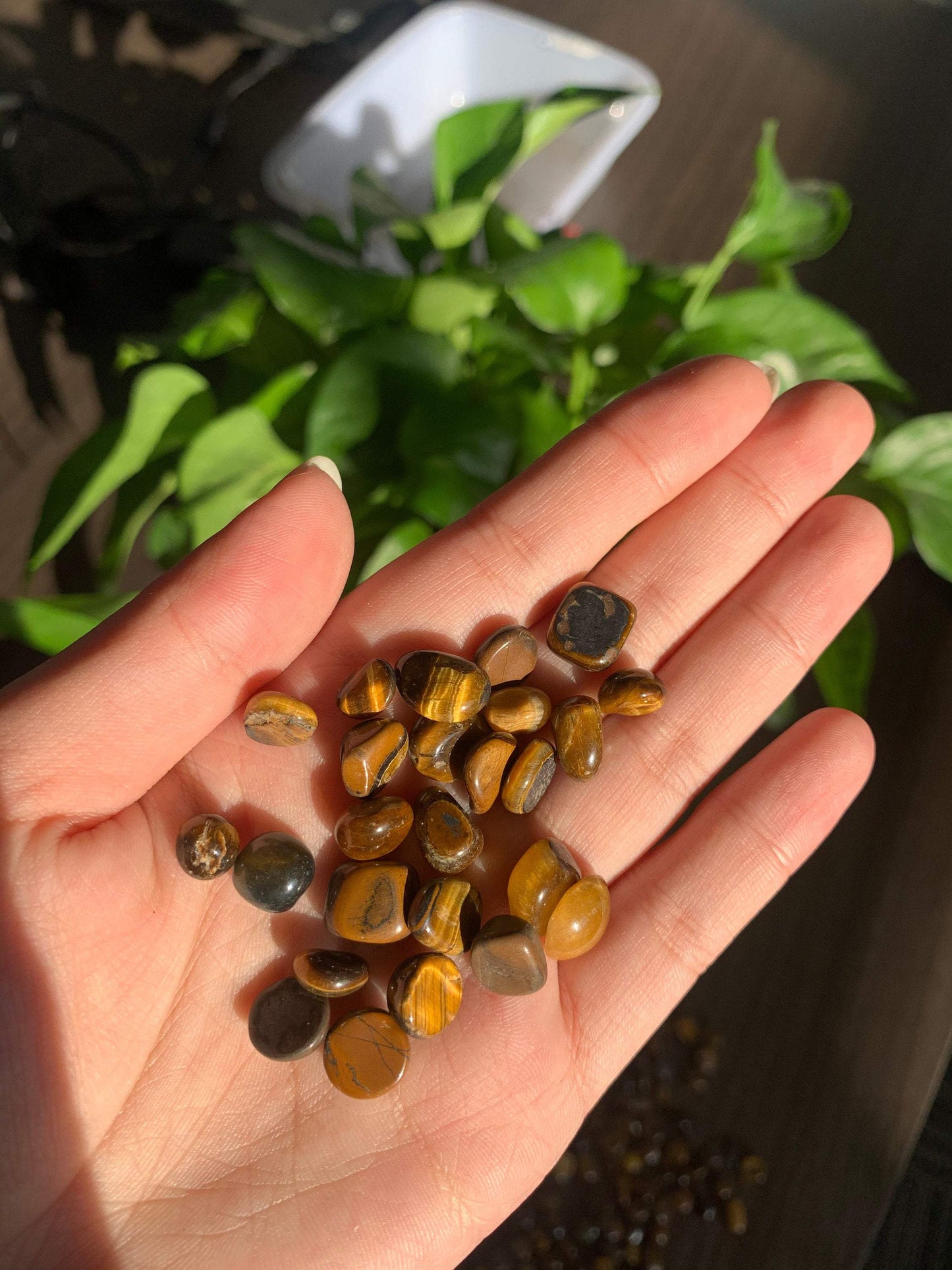 Natural Tiger's Eye Chips